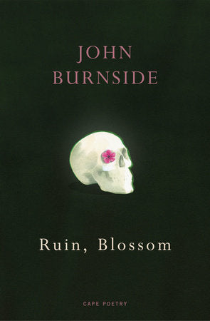 Ruin, Blossom Paperback by John Burnside