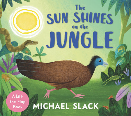 The Sun Shines on the Jungle Board Book by Michael Slack; Illustrated by Michael Slack