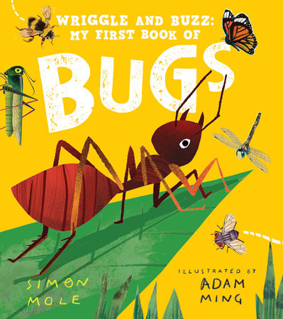 Wriggle and Buzz: My First Book of Bugs Hardcover by Simon Mole; illustrated by Adam Ming