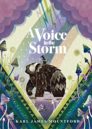 A Voice in the Storm Hardcover by Karl James Mountford; illustrated by Karl James Mountford
