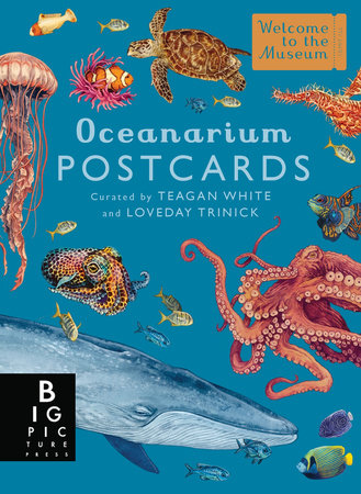 Oceanarium Postcard Box Set Merchandise by Loveday Trinick; illustrated by Teagan White