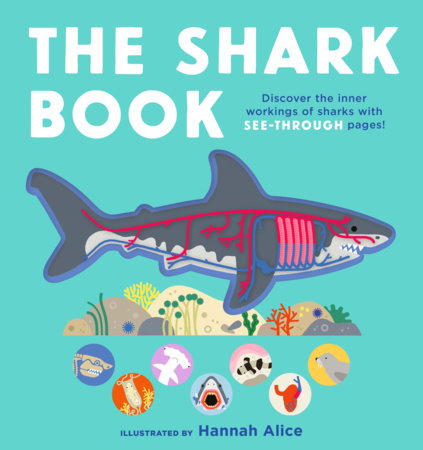 The Shark Book Board Book by Emma S. Young; Illustrated by Hannah Alice