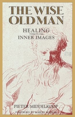 The Wise Old Man Paperback by Pieter Middelkoop