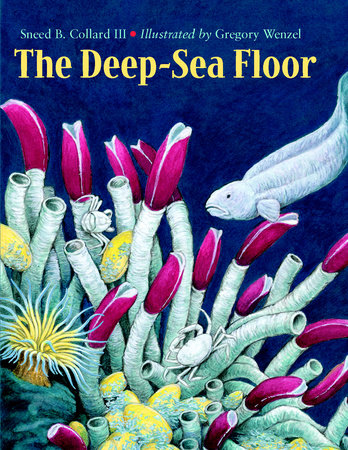 The Deep-Sea Floor Paperback by Sneed B. Collard III (Author); Gregory Wenzel (Illustrator)