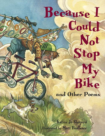 Because I Could Not Stop My Bike Paperback by Karen Jo Shapiro (Author); Matt Faulkner (Illustrator)