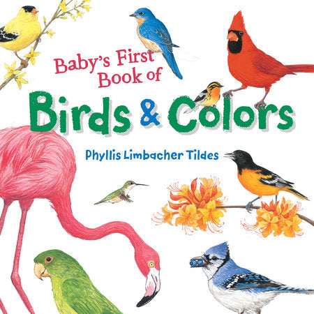Baby's First Book of Birds & Colors Board Book by Phyllis Limbacher Tildes (Author/Illustrator)