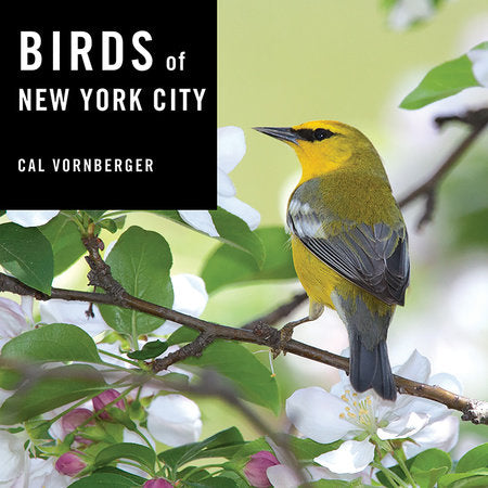 Birds of New York City Hardcover by Cal Vornberger