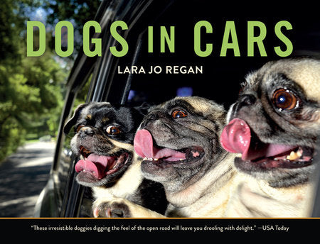 Dogs in Cars Paperback by Lara Jo Regan
