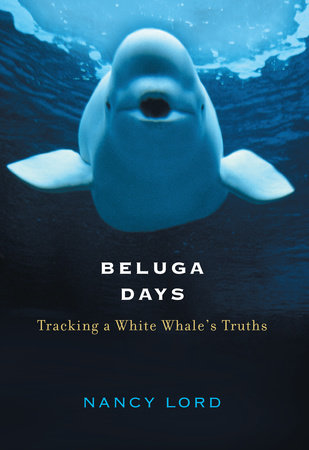 Beluga Days Hardcover by Nancy Lord