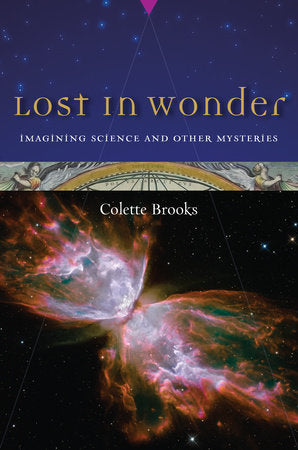 Lost in Wonder Paperback by Colette Brooks