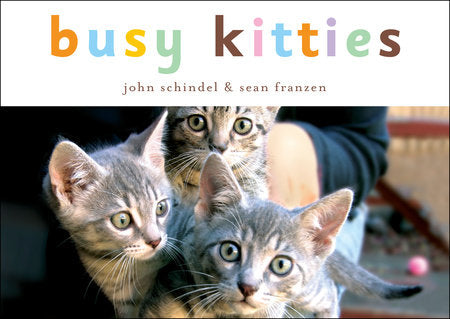 Busy Kitties Board Book by John Schindel; photographed by Sean Franzen