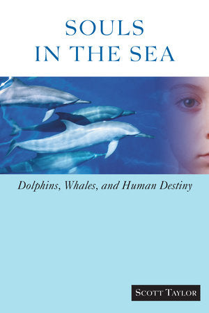 Souls in the Sea Paperback by Scott Taylor