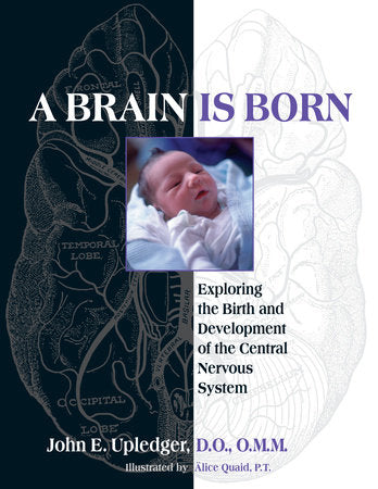 A Brain Is Born Paperback by John E. Upledger