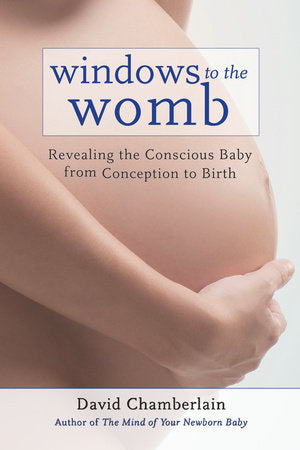 Windows to the Womb Paperback by David Chamberlain