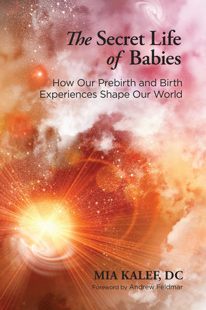 The Secret Life of Babies Paperback by Mia Kalef, DC