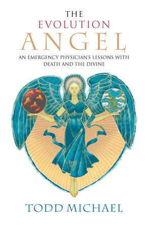 The Evolution Angel Paperback by Todd Michael