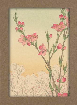 Smithsonian Cherry Blossom Notecard Set Merchandise by Smithsonian Institution