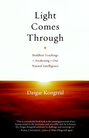 Light Comes Through Paperback by Dzigar Kongtrul