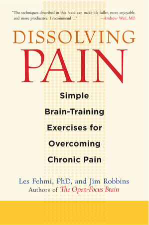 Dissolving Pain Paperback by Les Fehmi and Jim Robbins