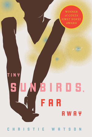 Tiny Sunbirds, Far Away Paperback by Christie Watson