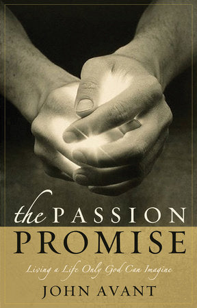 The Passion Promise Paperback by John Avant