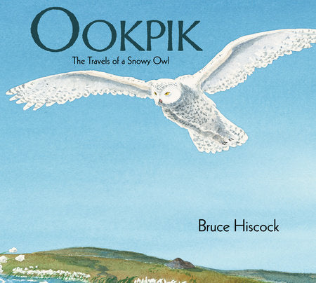 Ookpik Hardcover by Bruce Hiscock