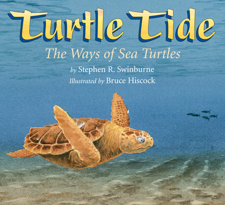 Turtle Tide Paperback by Stephen R. Swinburne; Illustrated by Bruce Hiscock