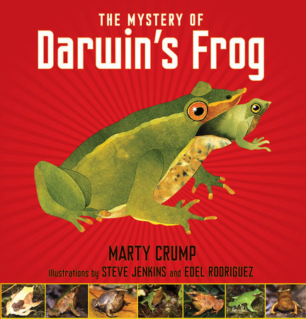 The Mystery of Darwin's Frog Hardcover by Marty Crump; Illustrated by Steve Jenkins; Illustrated by Edel Rodriguez
