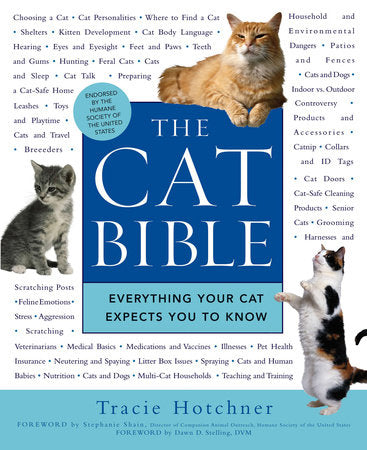 The Cat Bible Paperback by Tracie Hotchner