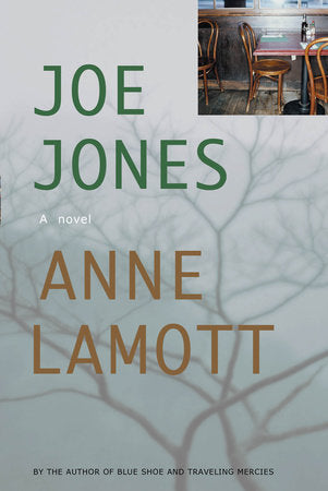Joe Jones Paperback by Anne Lamott