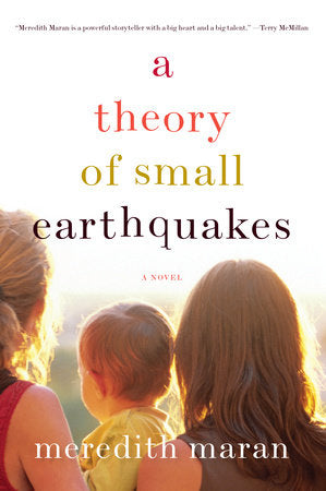 A Theory of Small Earthquakes Paperback by Meredith Maran