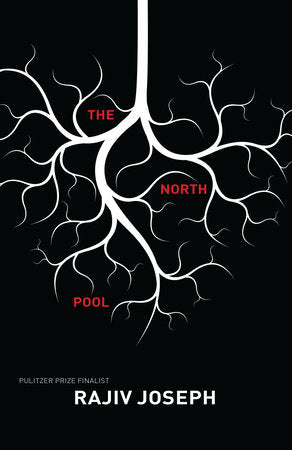 The North Pool Paperback by Rajiv Joseph