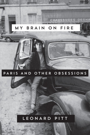 My Brain on Fire Paperback by Leonard Pitt