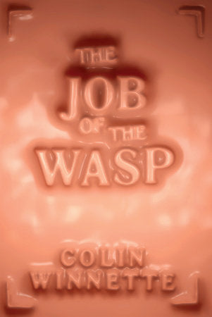 The Job of the Wasp Paperback by Colin Winnette