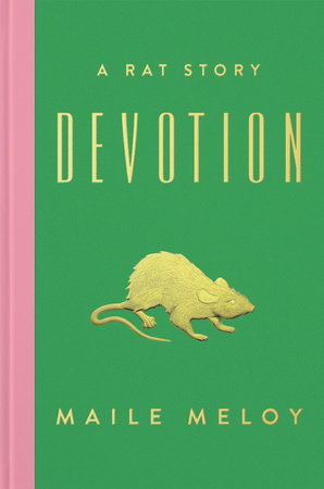 Devotion Hardcover by Maile Meloy