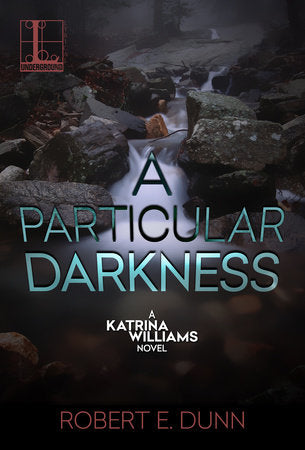 A Particular Darkness Paperback by Robert E. Dunn