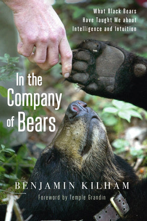 In the Company of Bears Paperback by BEN KILHAM