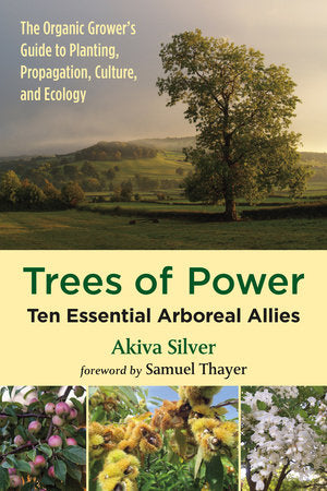 Trees of Power Paperback by AKIVA SILVER