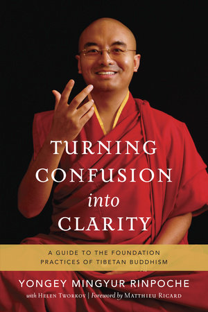 Turning Confusion into Clarity Paperback by Yongey Mingyur, with Helen Tworkov; foreword by Matthieu Ricard