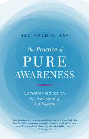 The Practice of Pure Awareness Paperback by Reginald A. Ray