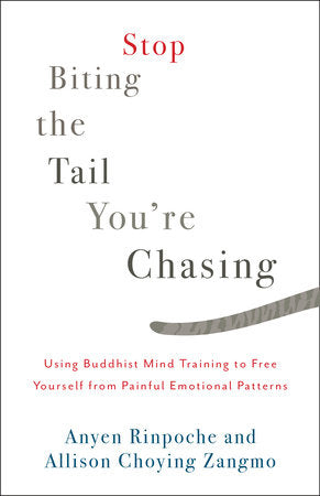 Stop Biting the Tail You're Chasing Paperback by Anyen Rinpoche and Allison Choying Zangmo