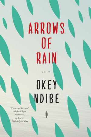 Arrows of Rain Paperback by Okey Ndibe