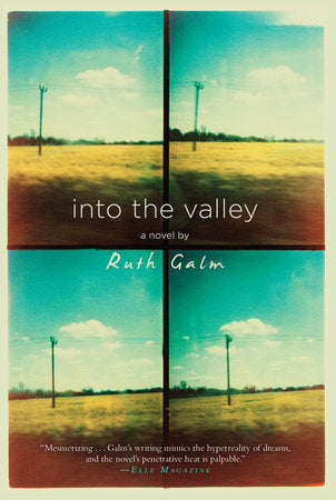 Into the Valley Paperback by Ruth Galm