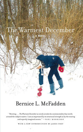 The Warmest December Paperback by Bernice L. McFadden