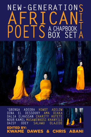 Sita: New-Generation African Poets Hardcover by Chris Abani; Kwame Dawes