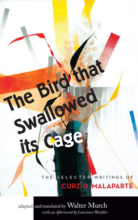 The Bird that Swallowed Its Cage Paperback by Walter Murch