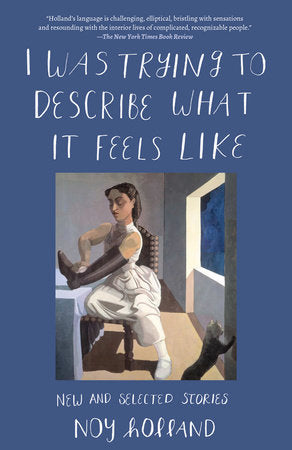 I Was Trying to Describe What it Feels Like Paperback by Noy Holland