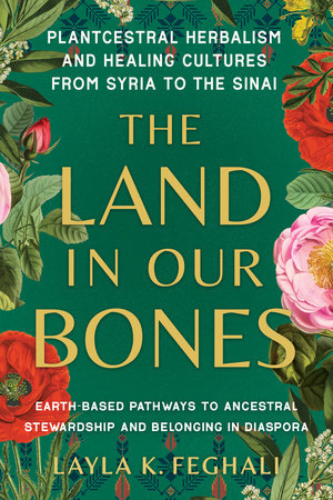 The Land in Our Bones Paperback by Layla Feghali