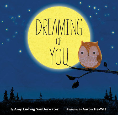 Dreaming of You Hardcover by Amy Ludwig VanDerwater; Illustrated by Aaron DeWitt