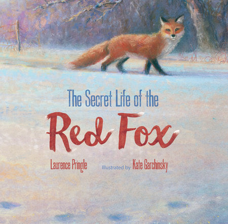 The Secret Life of the Red Fox Hardcover by Laurence Pringle; Illustrated by Kate Garchinsky
